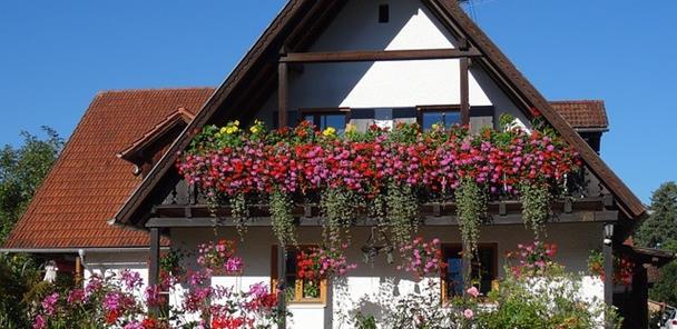 decorar terraza con flores